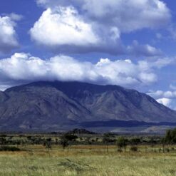 MOUNTAIN ELGON