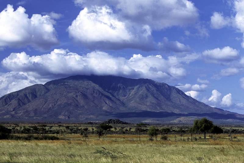 MOUNTAIN ELGON